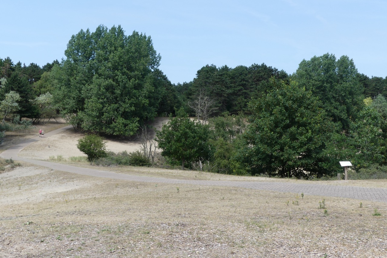 Amsterdamse Waterleidingduinen, Noord-Holland